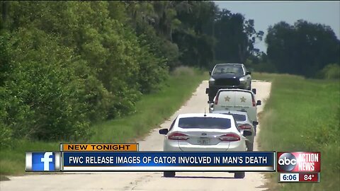 Deputies: Florida man's hand, foot found in alligator's stomach after apparent drowning