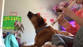 Young Girl Plays A Flute And Her Dog Sings Along