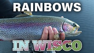 Catching Rainbow Trout in Central Wisconsin