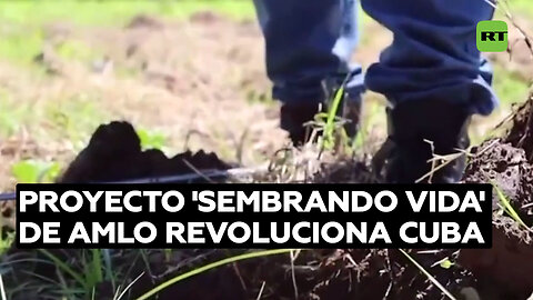 Avanza en Cuba el programa social que aumentará la producción agrícola y la calidad de vida