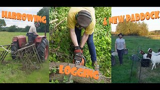 Capra Homestead Season 3 ep 5: Harrowing, Tree Cleanup & Yearling Goats Update