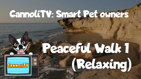 CannoliTV Video Library: Peaceful Dog Walk Along The Beach - 01