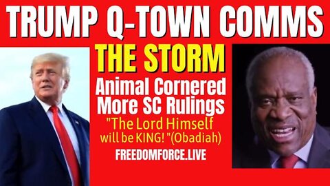 New Freedom Force Battalion: Trump Rally Illinois - Q Posts! - More Clarence Thomas SC Rulings - Obadiah 6-26-22