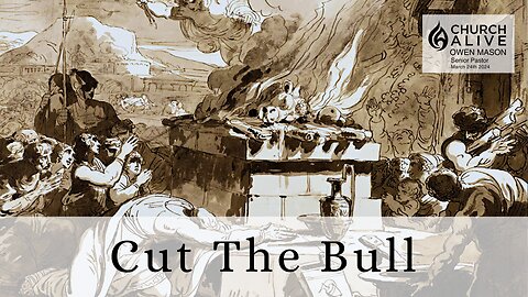 Cut The Bull