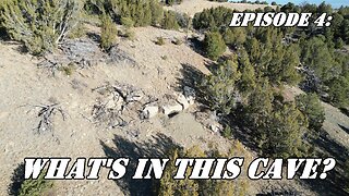 Episode 4: The Bear, The History and the Mysterious Tracks