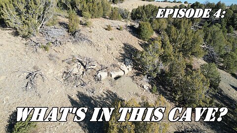 Episode 4: The Bear, The History and the Mysterious Tracks