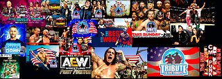 AEW Fight Forever : Memorial Day/Tribute To The Troops 🇺🇸🪖🎖🕴🏻🤼‍♂️🤼‍♀️ (PS5🎮)