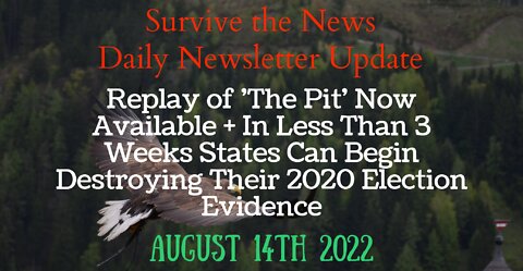 Replay of 'The Pit' Now Available + In 3 Weeks States Can Destroy Their 2020 Election Evidence