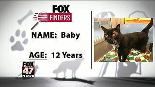 FOX Finders Pet Finder - Baby