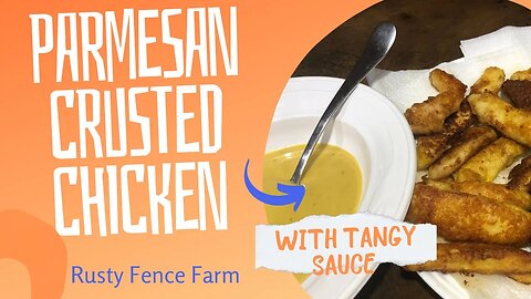 Parmesan Crusted Chicken With Tangy Dipping Sauce