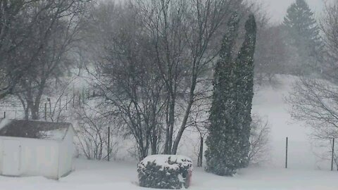 Wisconsin Snow