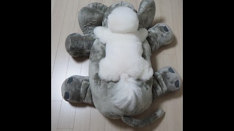Puppy adorably stretches out on top of stuffed animal