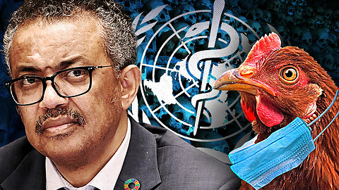 The W.H.O. Pandemic Treaty & Bird Flu Plandemic are FAILING w/ Shannon Joy