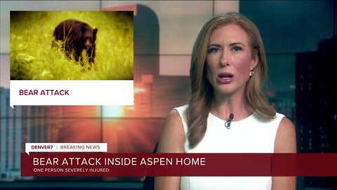 Bear attack inside home in Aspen area leaves person with 'severe swipe injuries' to face and neck