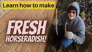 How to make Homemade Prepared Horseradish