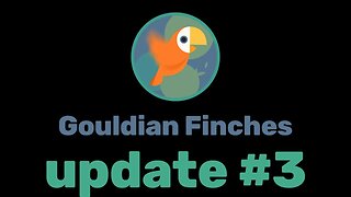 Gouldian finches update #3