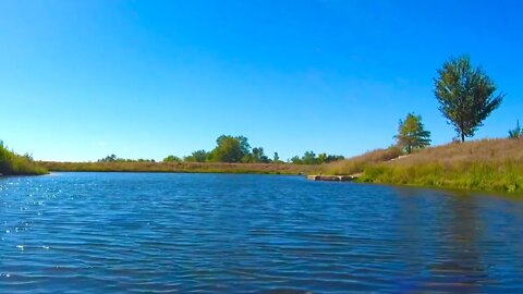 Pond Ambience With White Noise Sounds For Relaxation And Sleeping - Original Content