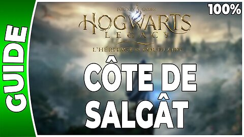 Hogwarts Legacy : l'Héritage de Poudlard - CÔTE DE SALGÂT - 100% Coffres, Pages, Demiguises