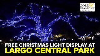 Free Christmas light display at Largo Central Park | Taste and See Tampa Bay