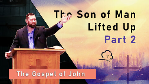 The Son of Man Lifted Up, Part 2