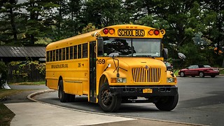 There's a Reason Why All School Busses Are Yellow - Do You Know Why?