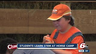 Russiaville horse camp teaches students STEM skills