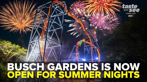 Summer Nights begins at Busch Gardens Tampa Bay May 31 | Taste and See Tampa Bay