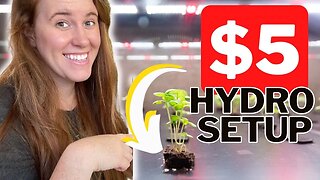 Cheap Five Dollar Hydroponic Setup. No Pumps, No Bubblers, No Special Pot & No Lights In Some Cases.