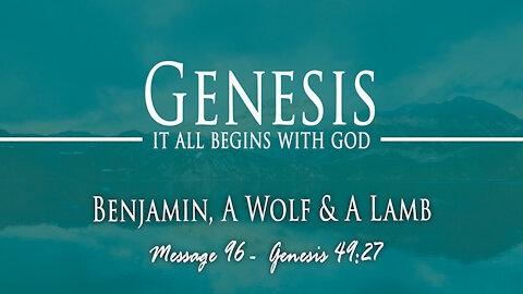 Benjamin, A Wolf & A Lamb: Genesis 49:27