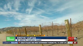 Local wine region recognized nationally