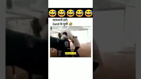 horse 🐎 funny video 😂//#newshorts