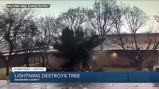 Lightning destroys tree in Wautoma