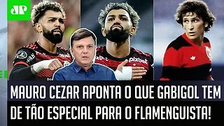 "O Flamengo tem VÁRIOS ÍDOLOS! E o que faz do Gabigol UM CARA ESPECIAL é..." Mauro Cezar FALA TUDO!