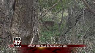 Deer crashes are down in Michigan, but driver beware