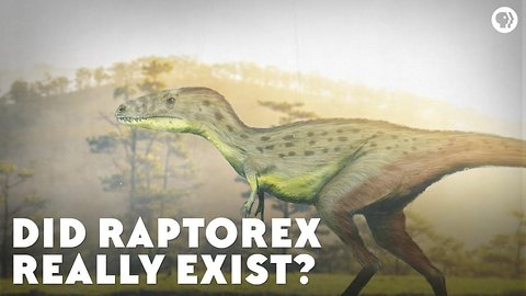 Did Raptorex Really Exist?