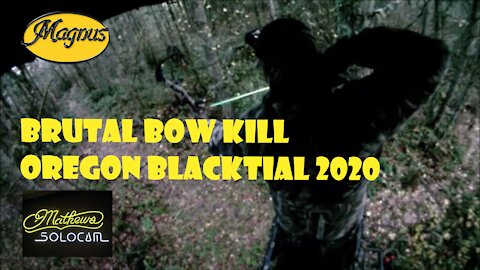 Brutal Blacktail bow hunt Western Oregon 2020 Late Season