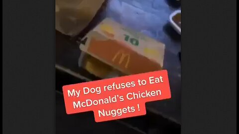Dog Refuses To Eat McDonalds Chicken Nuggets