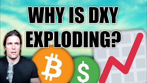 Why US Dollar Index (DXY) is Hitting 20-Year Highs - Bitcoin Expert Explains