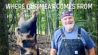 #93 Field Harvesting of a Forest Raised Hog: An expert lesson in on-site butchering.