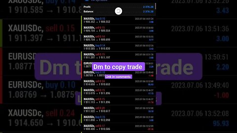 100 usd forex account copy trading results