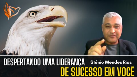 DESPERTANDO UMA LIDERANÇA DE SUCESSO EM VOCÊ PARTE 1