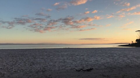 Jervis Bay Australia With The 'Roos