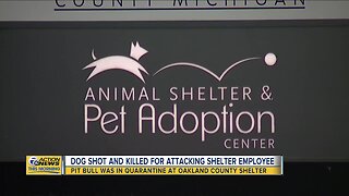 Dog shot and killed during attack on employee at Oakland County Animal Shelter