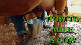 The Milk Cow, Part 3 - The FHC Show, ep 36