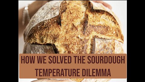 How we solved the sourdough temperature dilemma