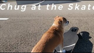 Chug visits the skatepark