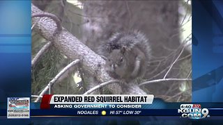 Environmentalists want Arizona squirrels' habitat expanded