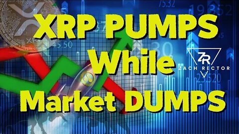 XRP Pumps Again While Rest Of The Market Continues Dump!