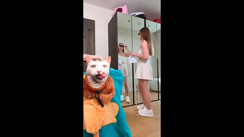 funny cat latest new video 2024