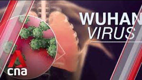 Todays news 20th Jan 2020 WUHAN VIRUS announced to the world
